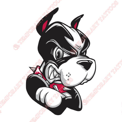 Boston University Terriers Customize Temporary Tattoos Stickers NO.4018
